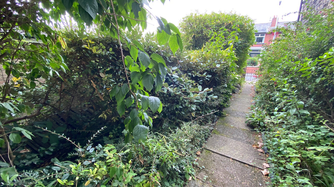 The site of the extension, before
