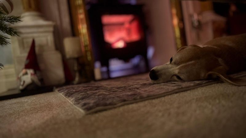 By the fireside, Christmas 2024