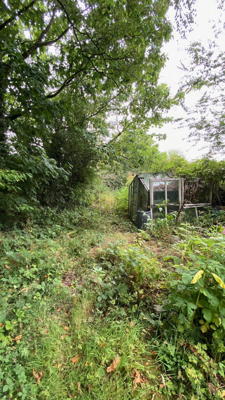 Bottom of the garden, before