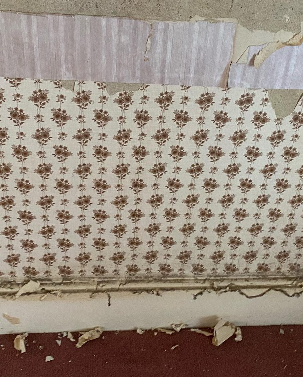 The bathroom stripped back and other demolition shots (7/10)
