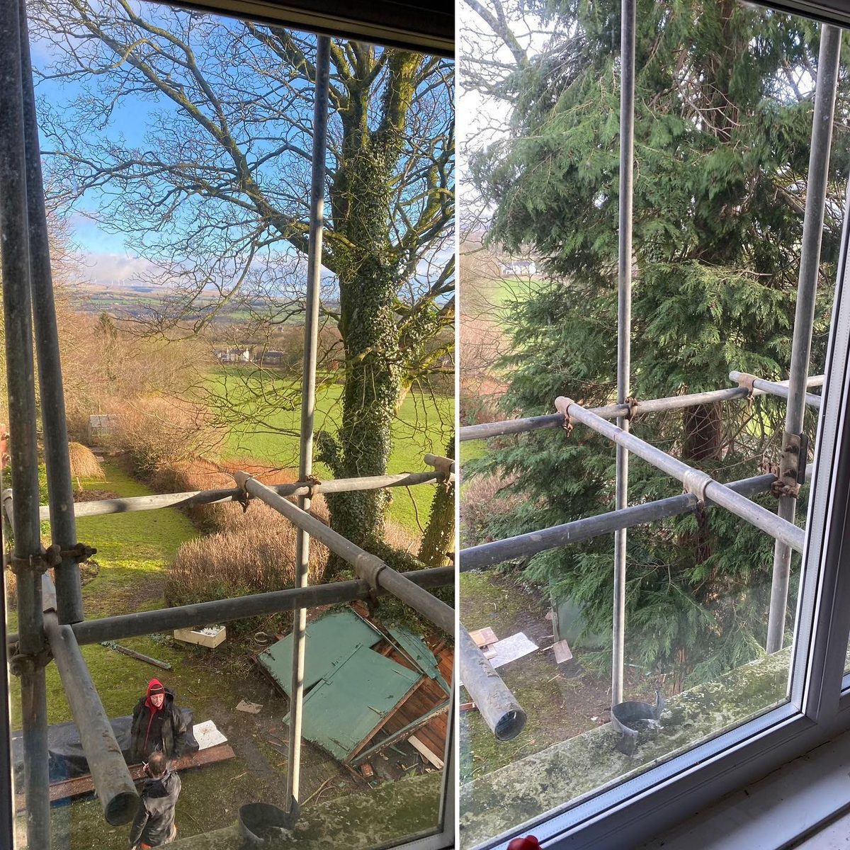 The view, before and after the conifer was removed (1/4)