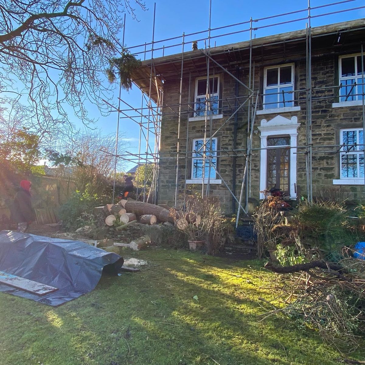 The view, before and after the conifer was removed (4/4)